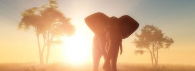 Botswana & Sambia